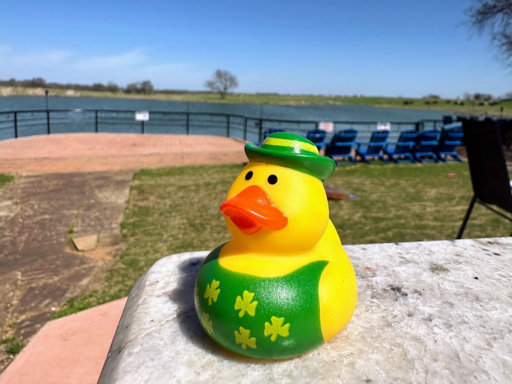 Yellow Green Skirt Duck