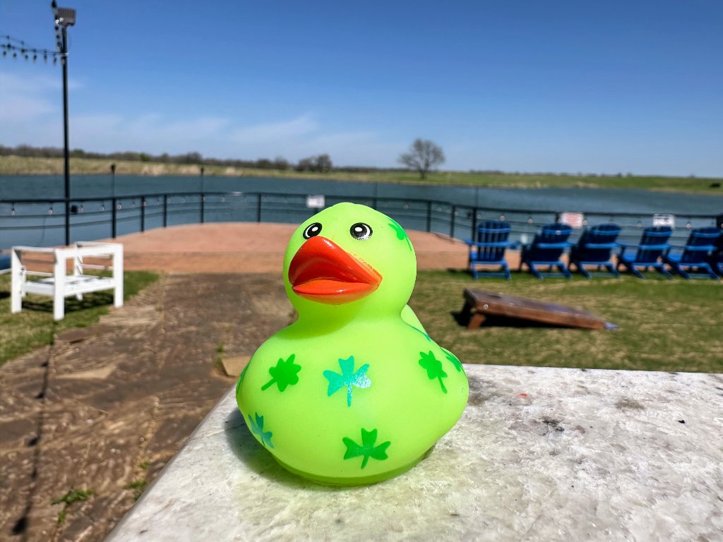 Lime Green Duck
