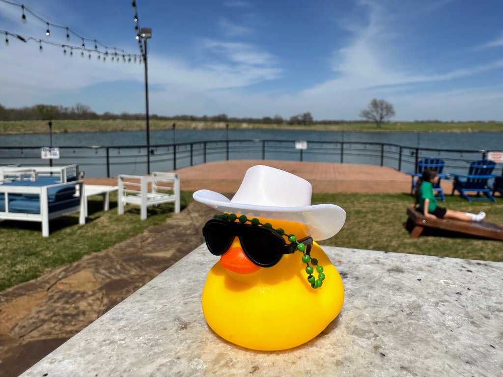 Yellow Cowboy Duck