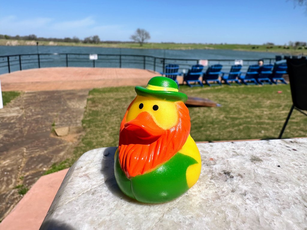 Leprechaun Beard Duck