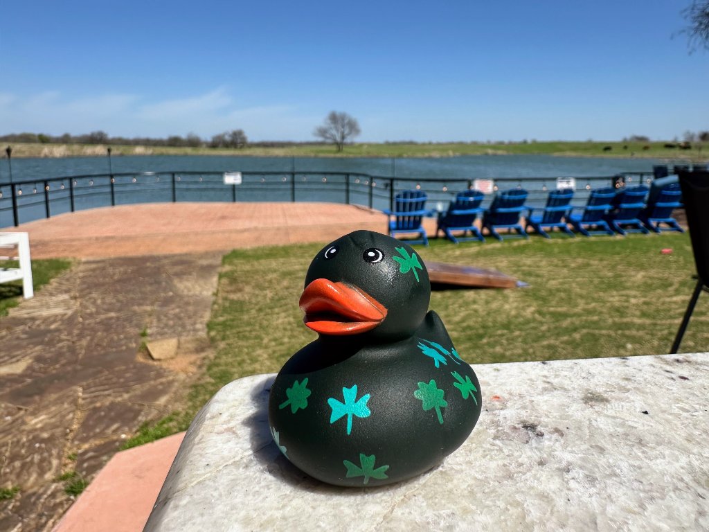 Dark Teal Duck