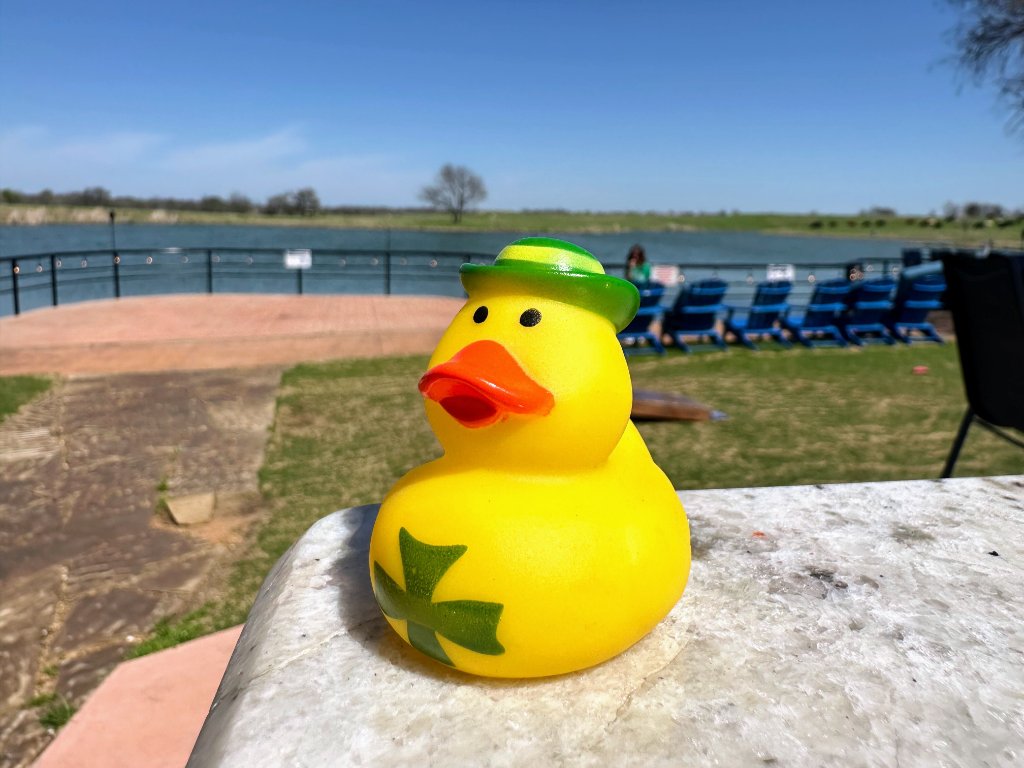 Yellow Hat Simple Duck