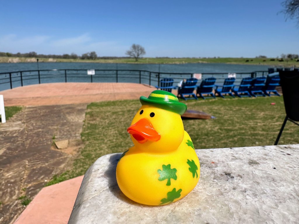 Yellow Hat Duck