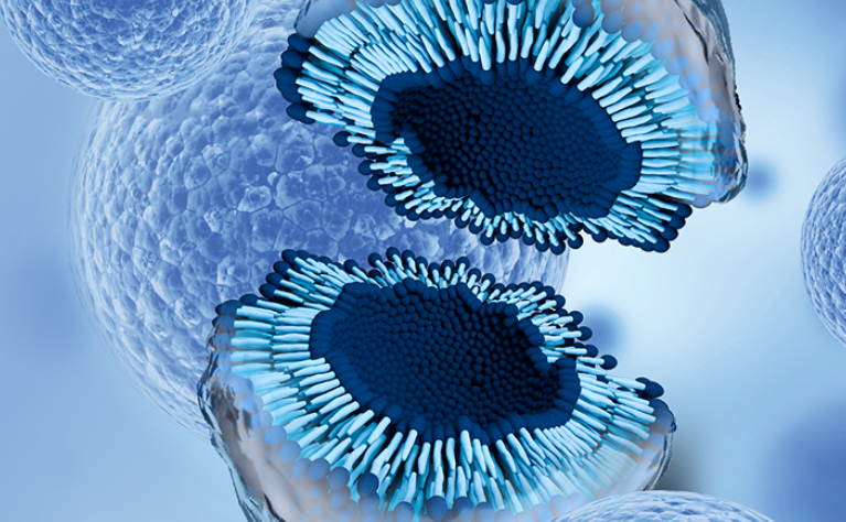 Exosomes