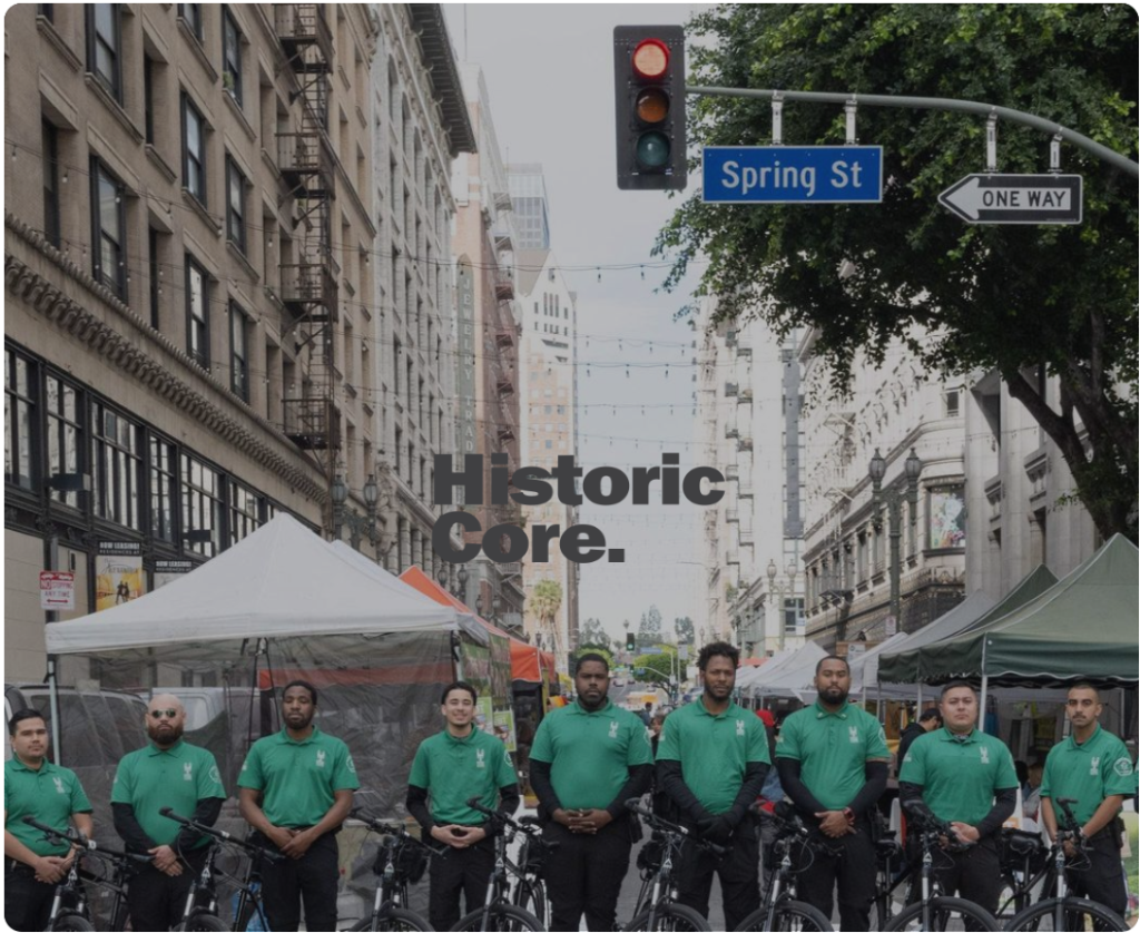 Public Safety Team