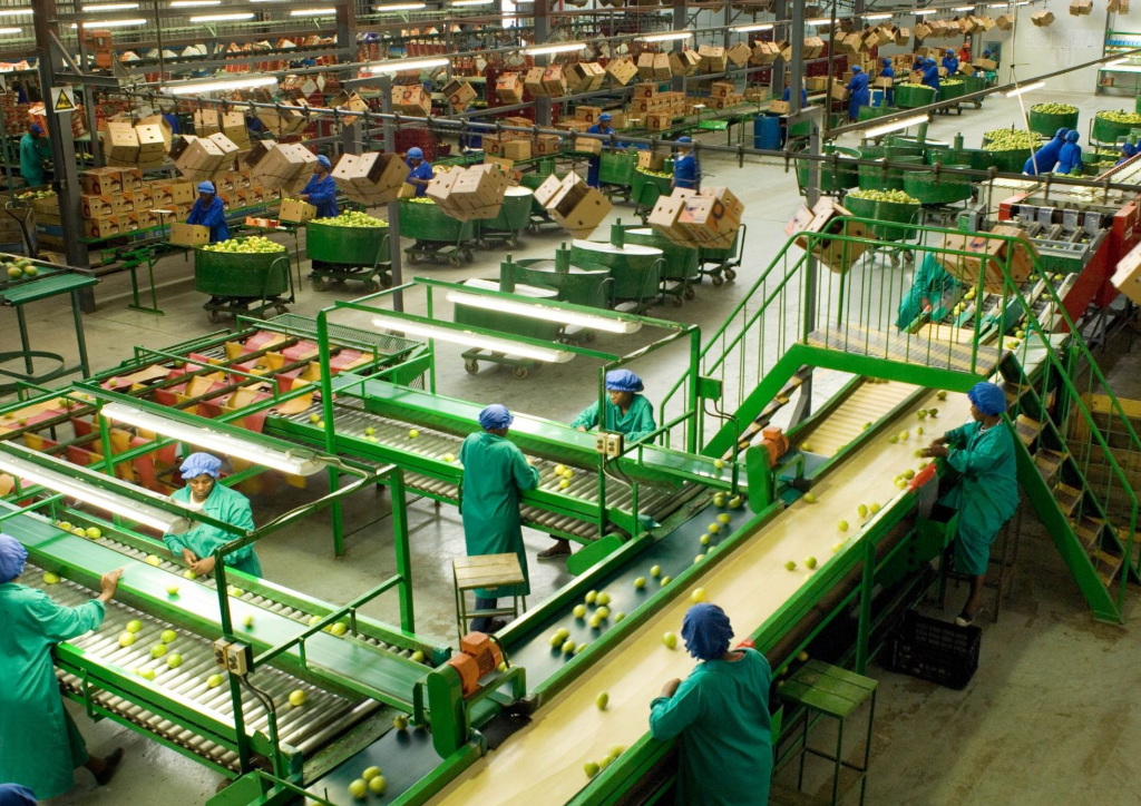 Multi-Purpose Agro-Processing Facility