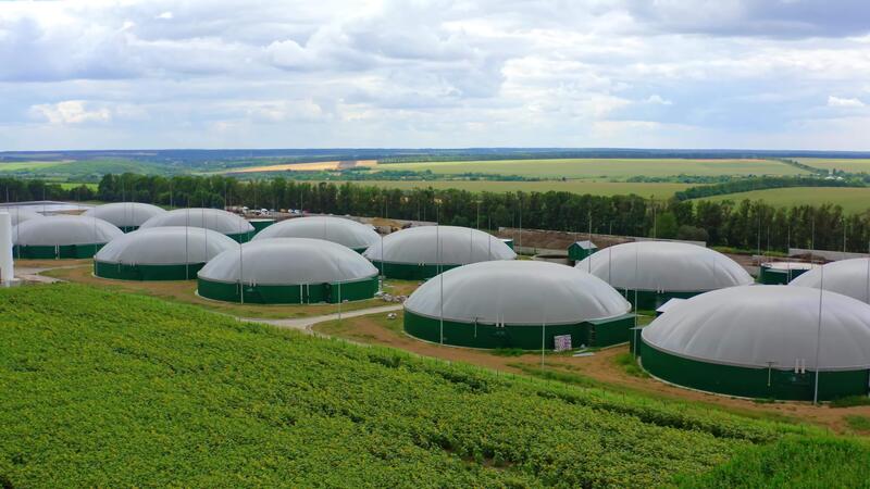 Community Biofarms (Biomass, Biogas & Biofuel)