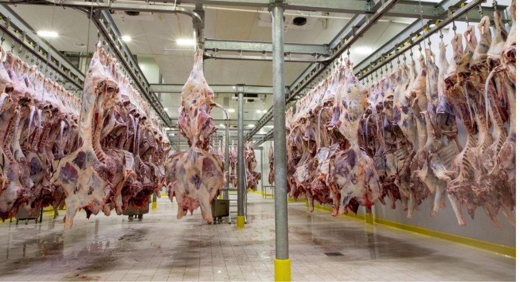 Meat Processing & Abattoir Facility