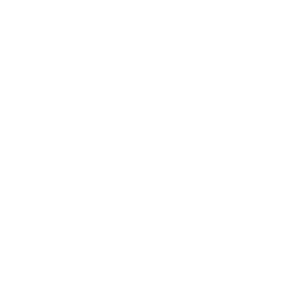 RaiseLaw