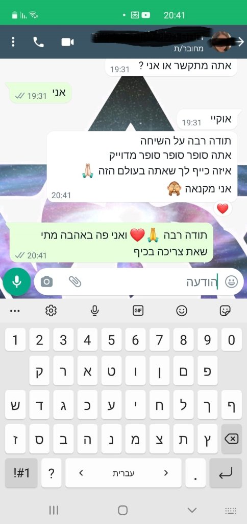 ביקורת 13