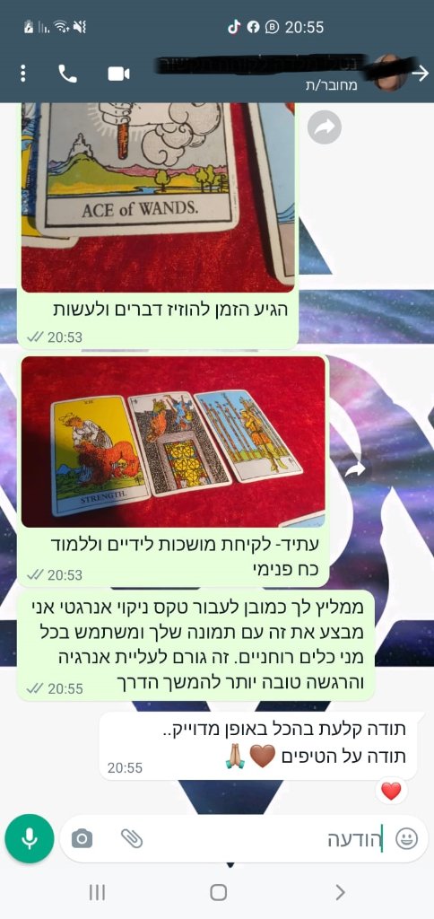 ביקורת 4
