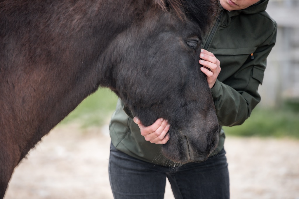 Craniosacrale Therapie