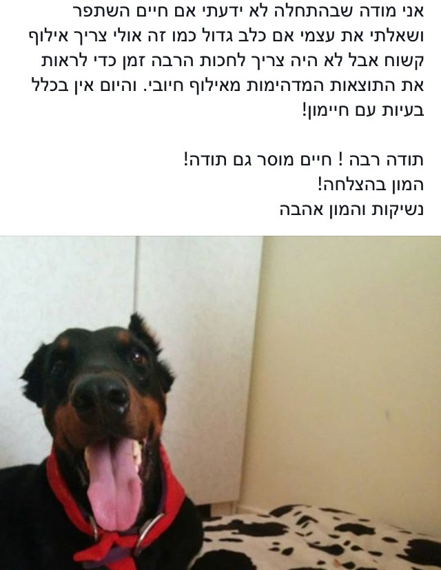 המלצת לקוח - כלב