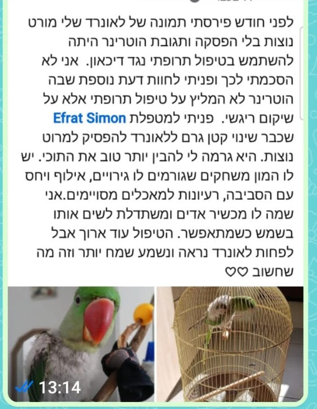 המלצת לקוח - מריטת נוצות