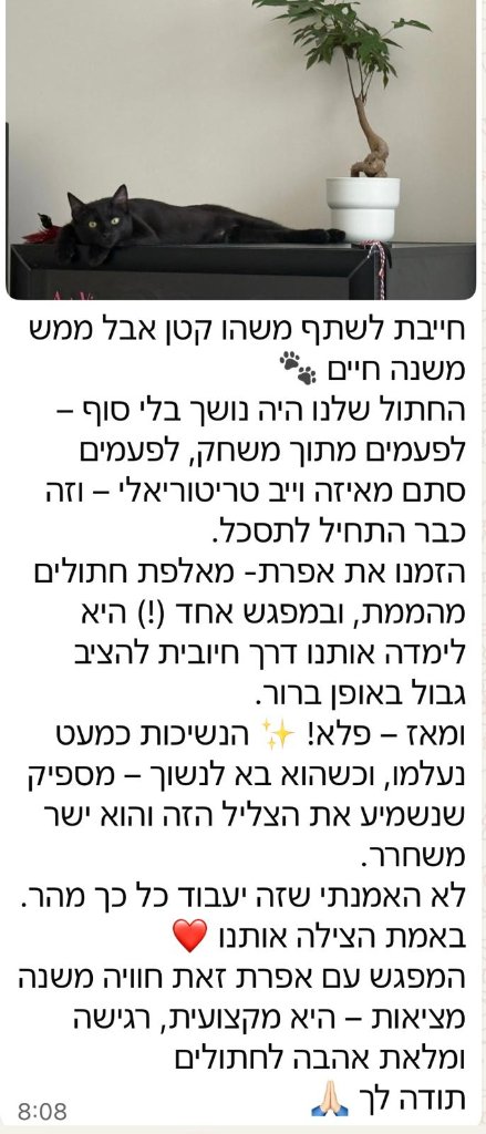 המלצת לקוח - תוקפנות וחרדה