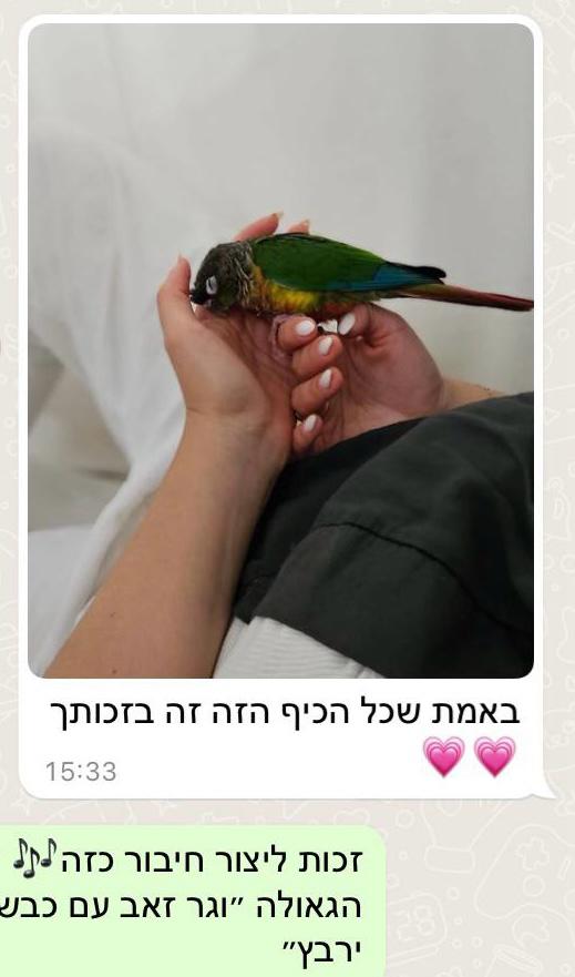 המלצת לקוח - תוכים