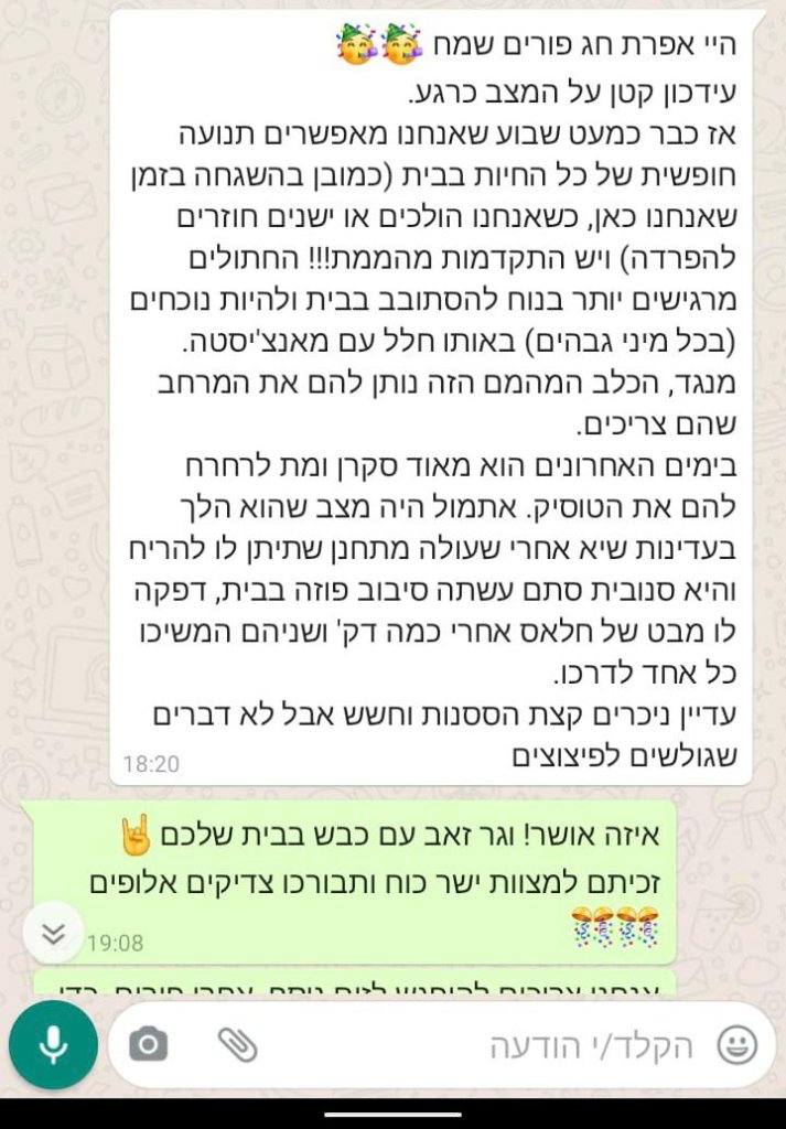 המלצת לקוח - חיבור כלב וחתול
