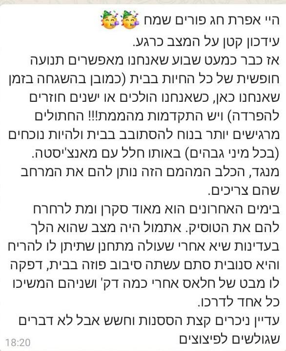 המלצת לקוח - חיבור כלב וחתול