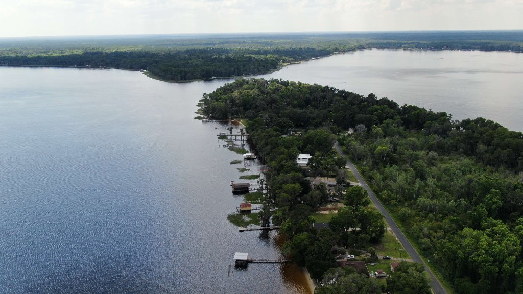Florida's Natural Beauty