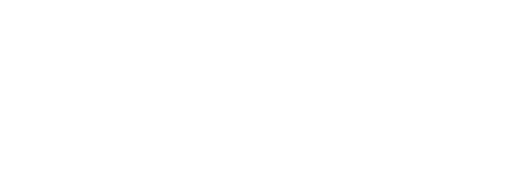 MARS Security