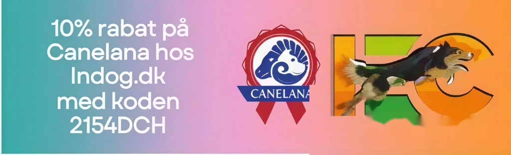 Canelana