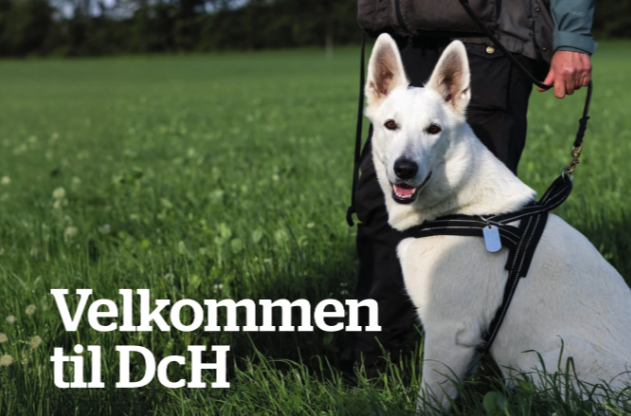 DcH Magasinet – Digital version