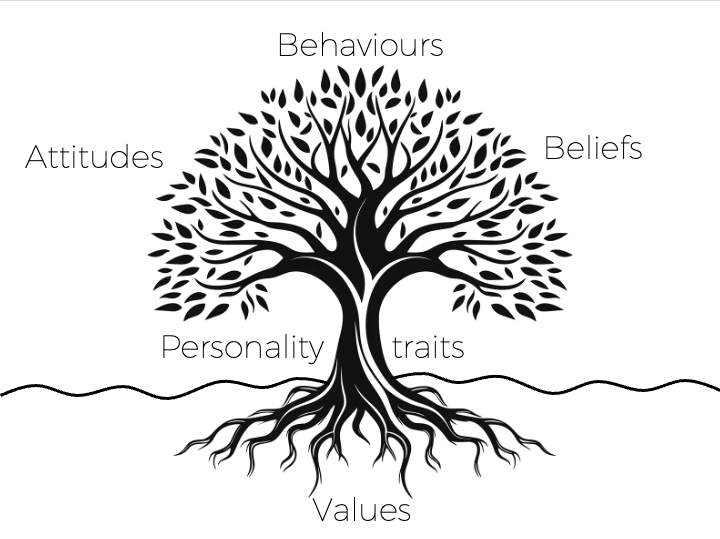 Values Tree - showing how values are the roots that influence personality traits, attitudes, behaviours and beliefs