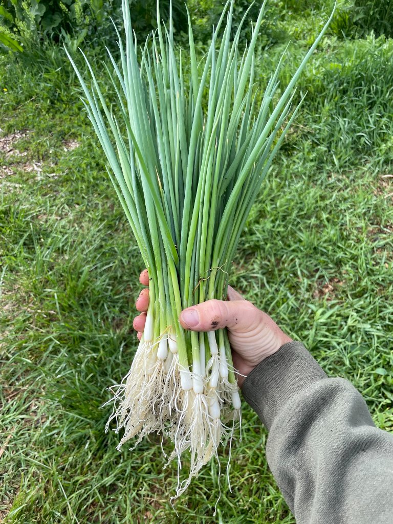 Farm life