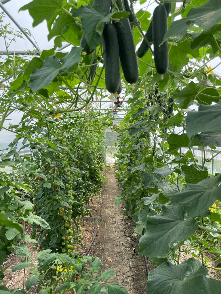 Farm life