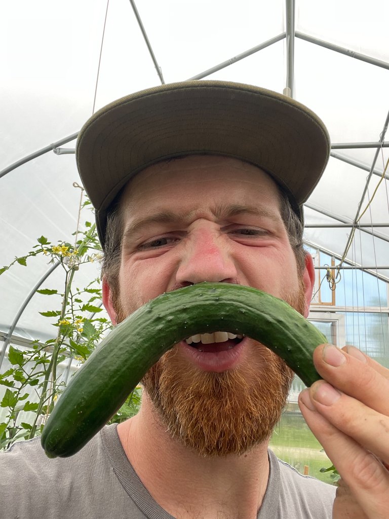 Farm life