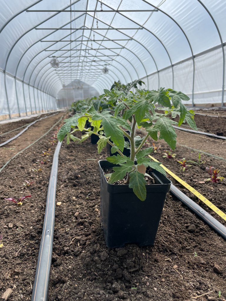 Farm life