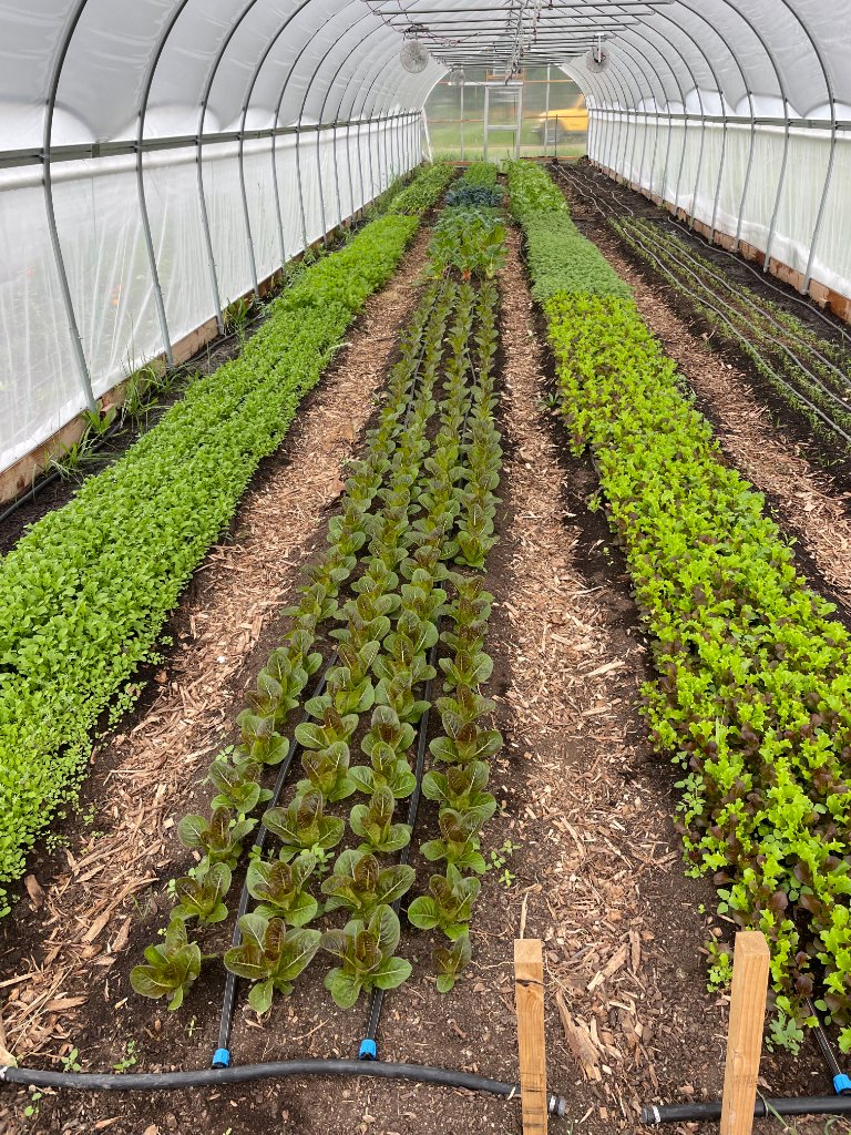 Farm