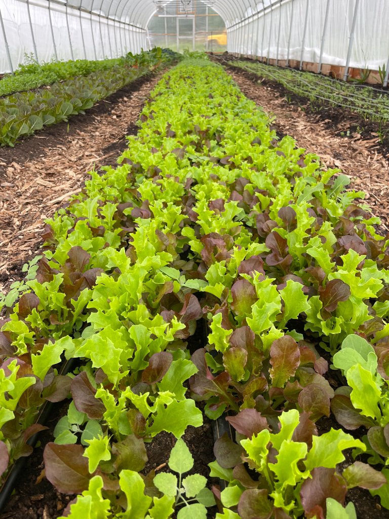 Farm
