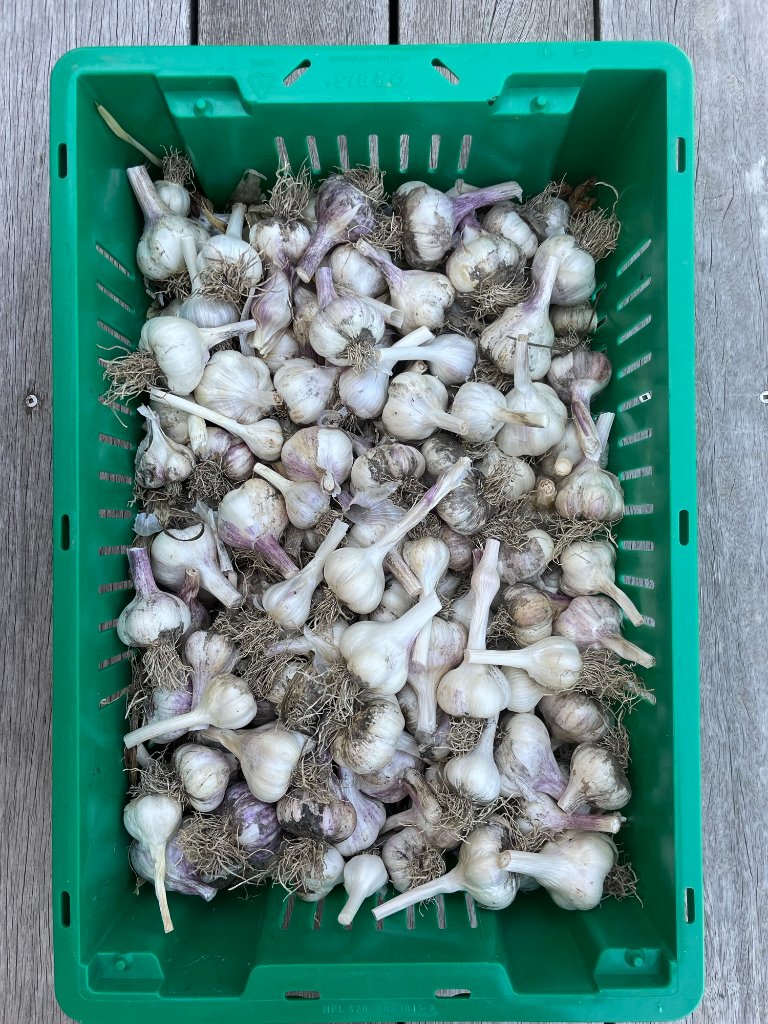 Farm life