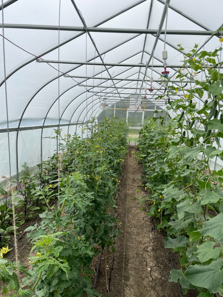 Greenhouse