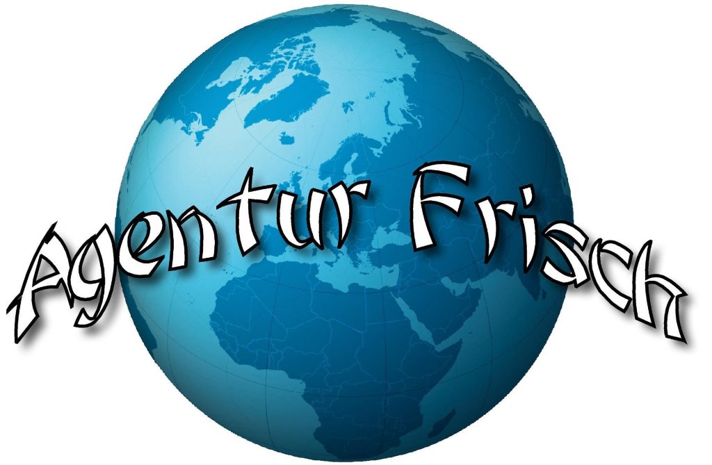 Frisch International Consulting GmbH & Co. KG