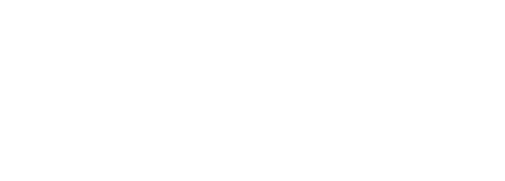 AeroMetrix