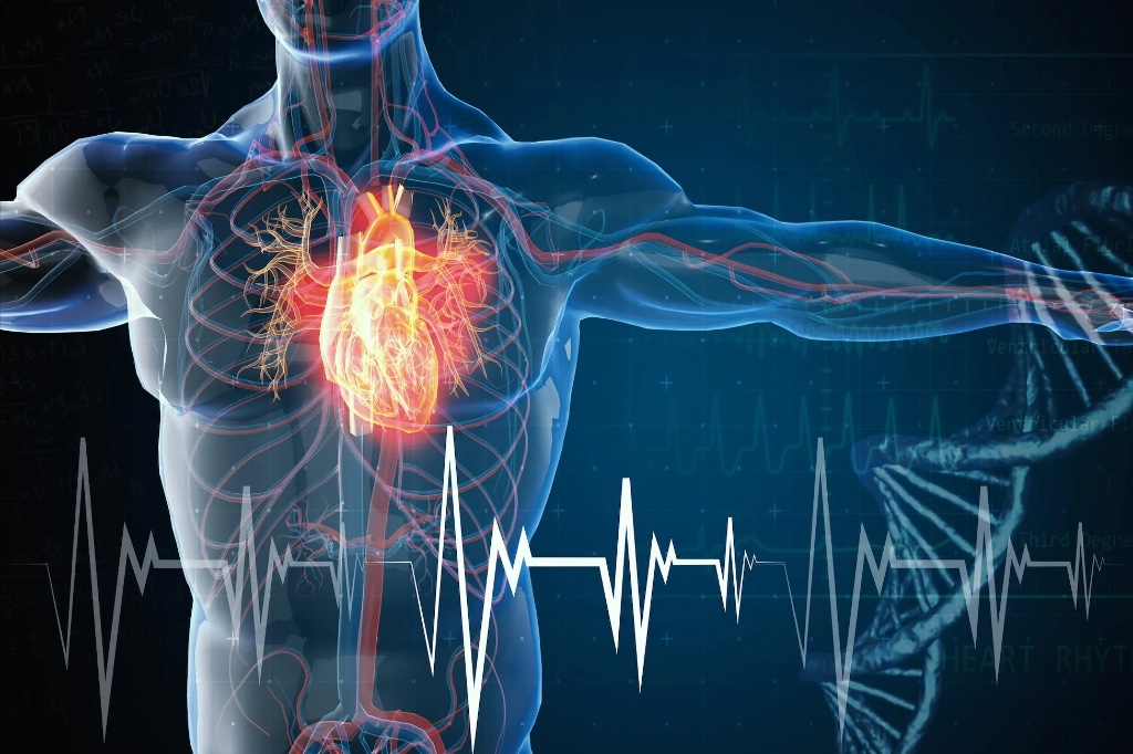 Specializzazione in Cardiologia presso Darsenamed Poliambulatorio a Fiumicino