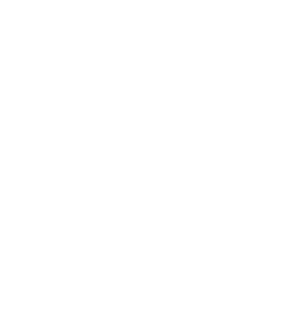 Link Aviation
