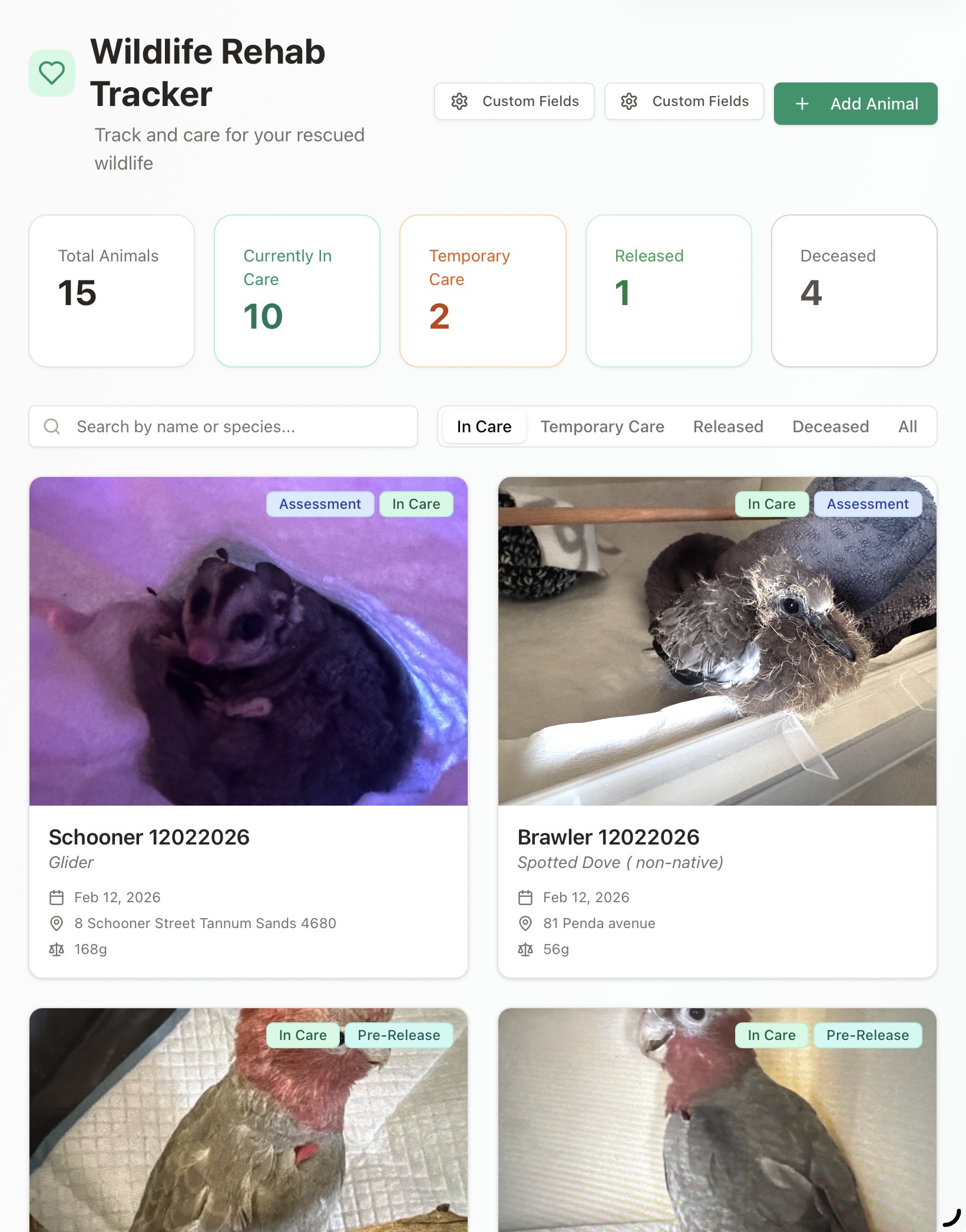Wildlife Care Log template preview