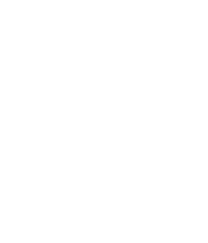 S Professional