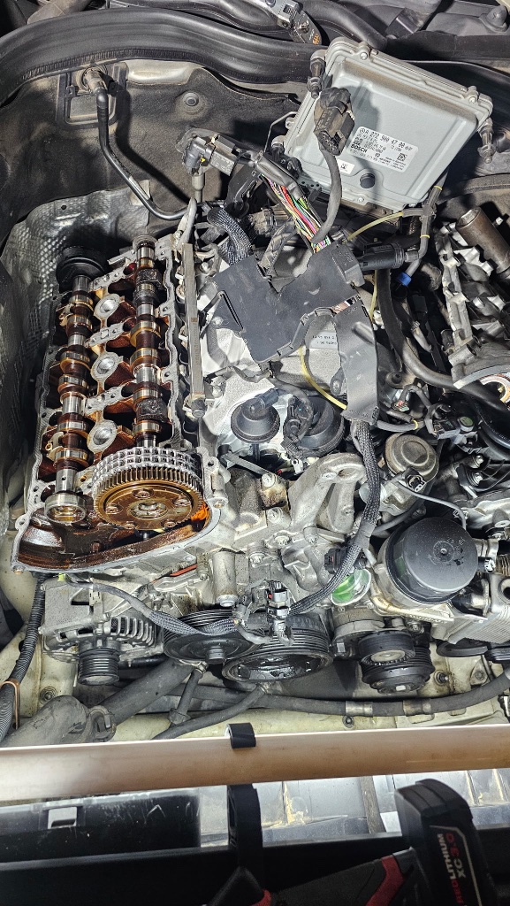 Timing Chain Exposed