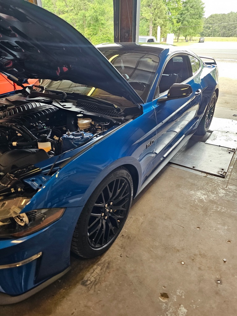 Mustang Service
