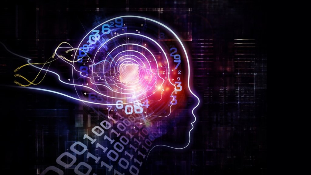 Neuroplasticidad y Aprendizaje: Cómo el Cerebro Adulto Continúa Remodelándose