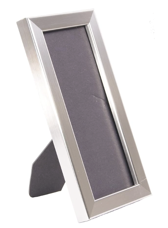 Chrome Photostrip Frame