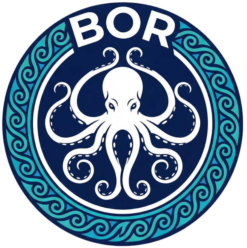 Bonaire Oceanview Rentals