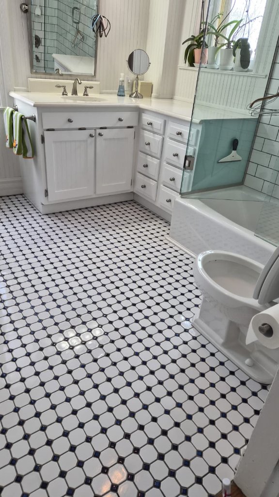 Bathroom Cleaning