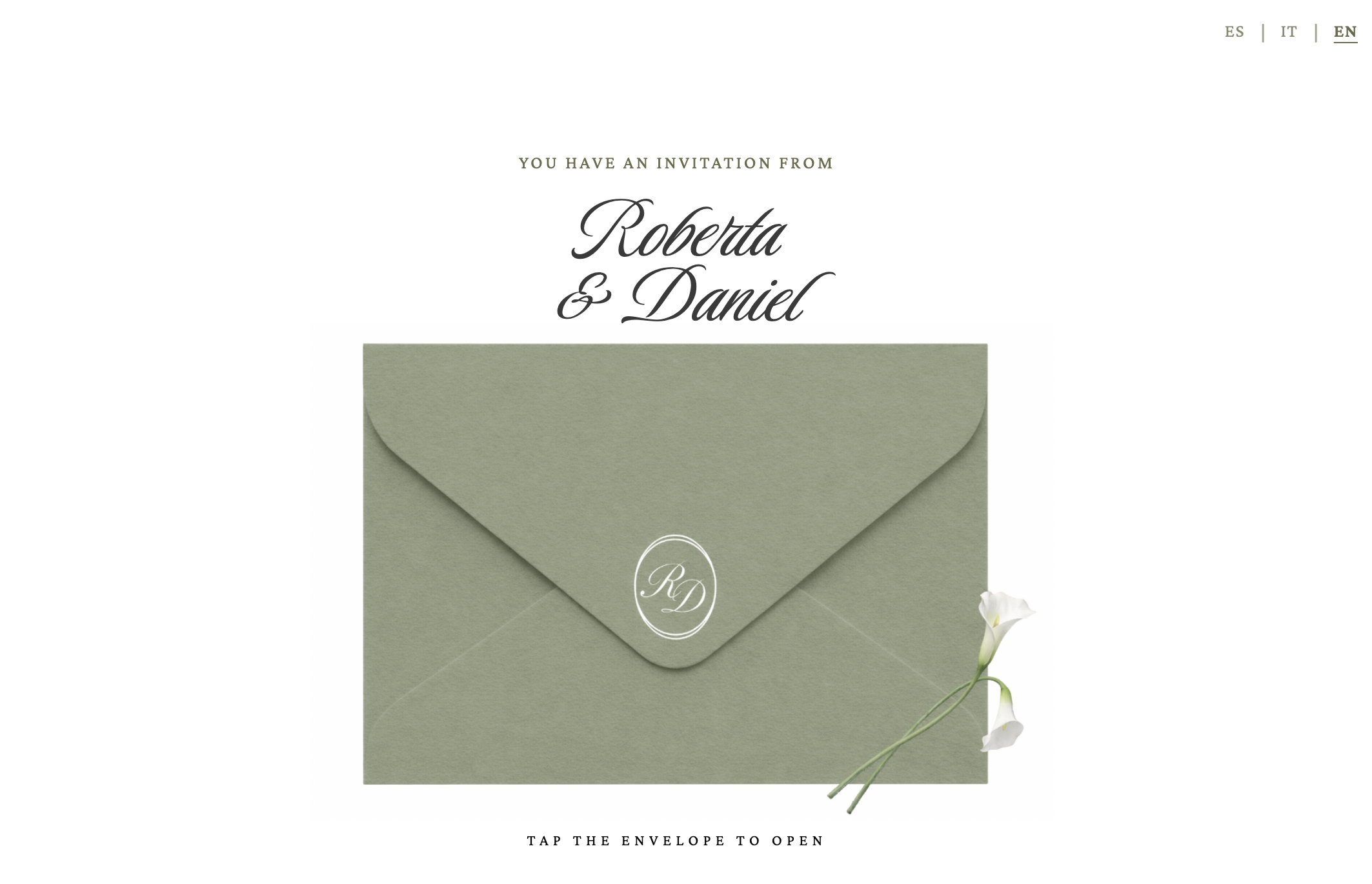 Premium Wedding Digital Invitation template preview