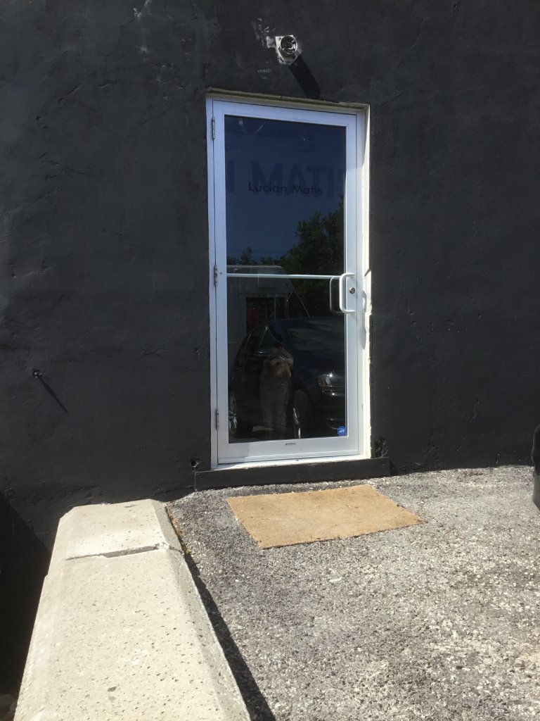 Main Street Veterinary Clinic - Hours Window Decal (Inside)