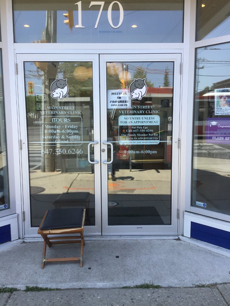 Main Street Veterinary Clinic - Door Graphics